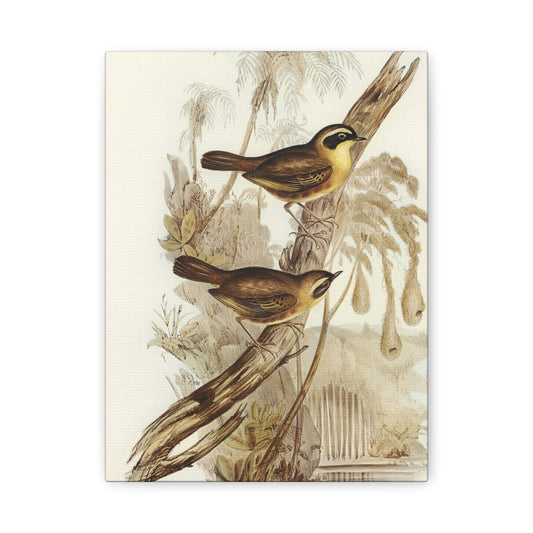 Vintage Bird Canvas Print — Botanical Wall Art