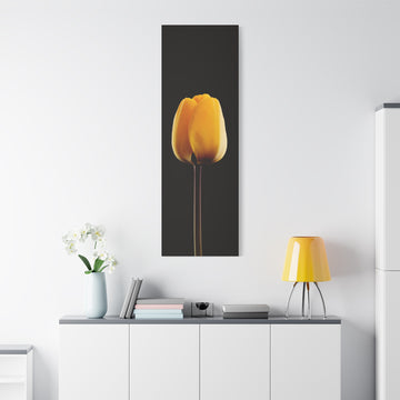 Yellow Tulip Canvas Wall Art — Matte Stretched Floral Print